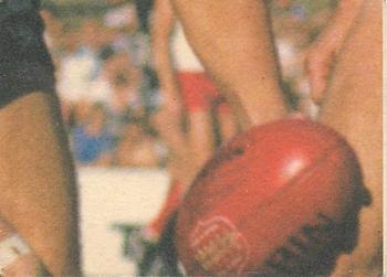 1986 Scanlens VFL #36 Leigh Matthews Back